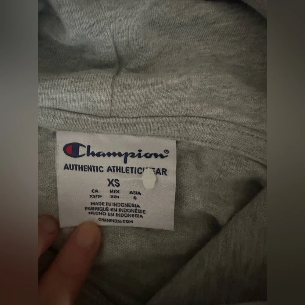 Champion Authentic Athleticwear Grey Pullover Hoodie – XS – Classic Logo - Picture 3 of 6